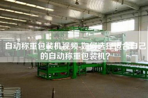 自动称重包装机视频-如何选择适合自己的自动称重包装机？