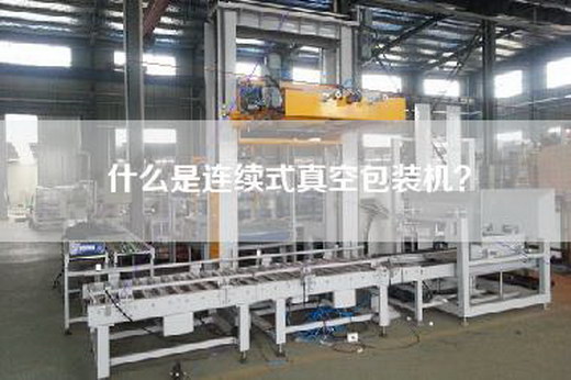 什么是连续式真空包装机？