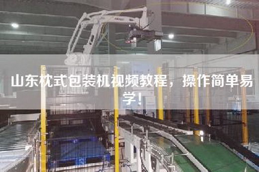 山东枕式包装机视频教程，操作简单易学！