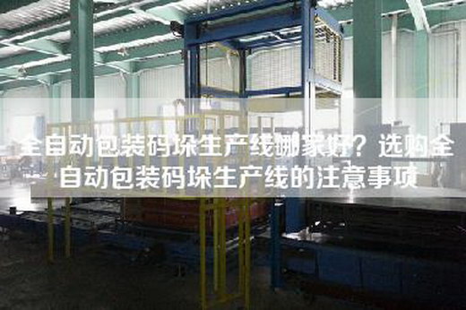 全自动包装码垛生产线哪家好？选购全自动包装码垛生产线的注意事项