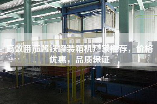 高效番茄酱铁罐装箱机厂家推荐，价格优惠，品质保证