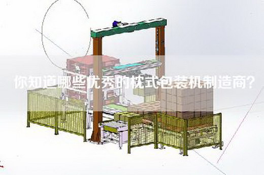 你知道哪些优秀的枕式包装机制造商？