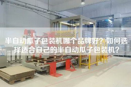 半自动瓜子包装机哪个品牌好？如何选择适合自己的半自动瓜子包装机？