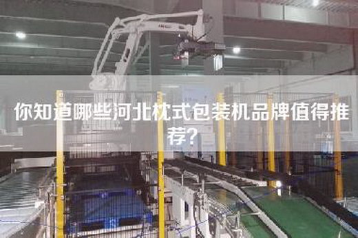 你知道哪些河北枕式包装机品牌值得推荐？