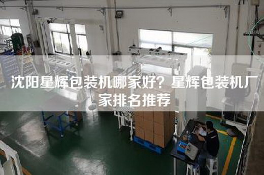 沈阳星辉包装机哪家好？星辉包装机厂家排名推荐