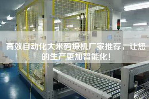 高效自动化大米码垛机厂家推荐，让您的生产更加智能化！