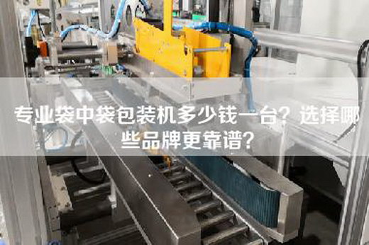 专业袋中袋包装机多少钱一台？选择哪些品牌更靠谱？