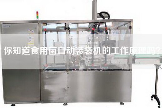 你知道食用菌自动装袋机的工作原理吗？