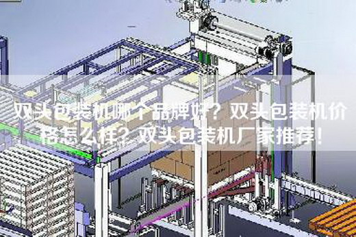双头包装机哪个品牌好？双头包装机价格怎么样？双头包装机厂家推荐！
