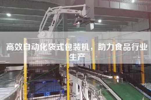 高效自动化袋式包装机，助力食品行业生产