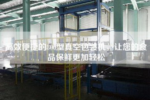 高效便捷的800型真空包装机，让您的食品保鲜更加轻松