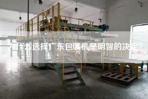 为什么选择广东包装机是明智的决定？