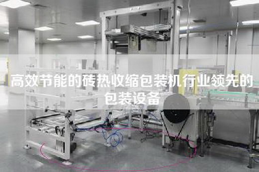 高效节能的砖热收缩包装机行业领先的包装设备