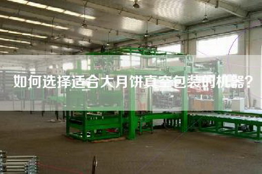 如何选择适合大月饼真空包装的机器？