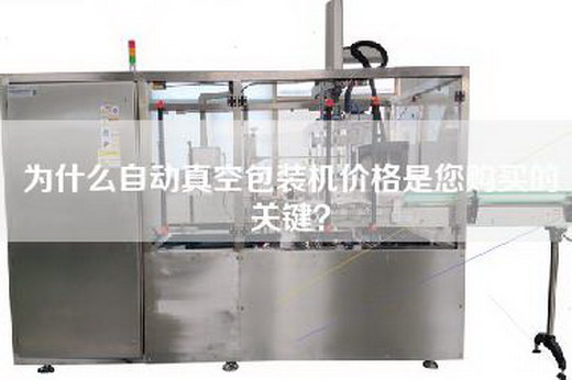 为什么自动真空包装机价格是您购买的关键？