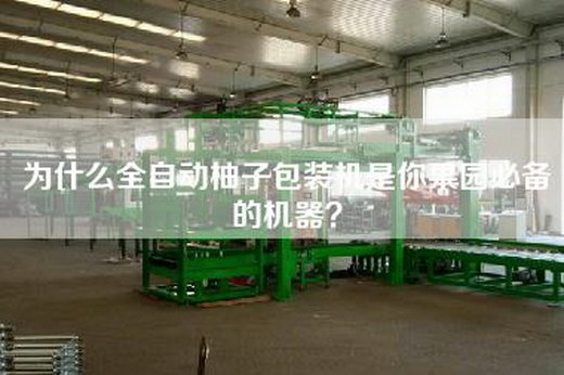 为什么全自动柚子包装机是你果园必备的机器？