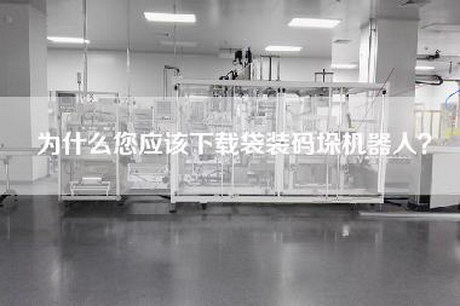 为什么您应该下载袋装码垛机器人？