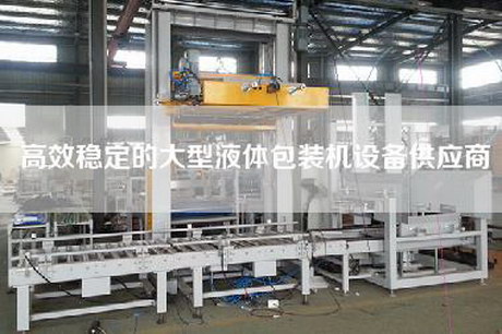 高效稳定的大型液体包装机设备供应商