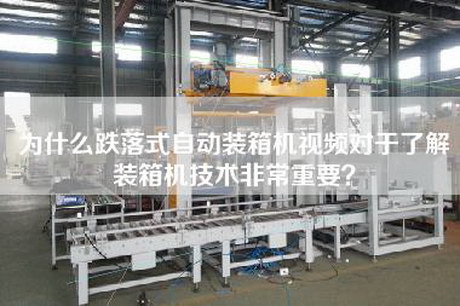 为什么跌落式自动装箱机视频对于了解装箱机技术非常重要？