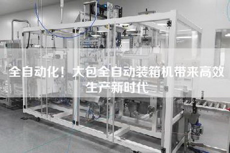 全自动化！大包全自动装箱机带来高效生产新时代