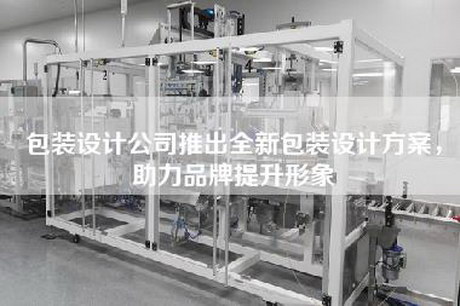 包装设计公司推出全新包装设计方案，助力品牌提升形象