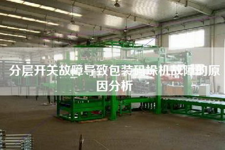 分层开关故障导致包装码垛机故障的原因分析