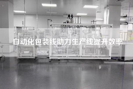 自动化包装线助力生产线提升效率