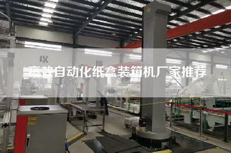 高效自动化纸盒装箱机厂家推荐