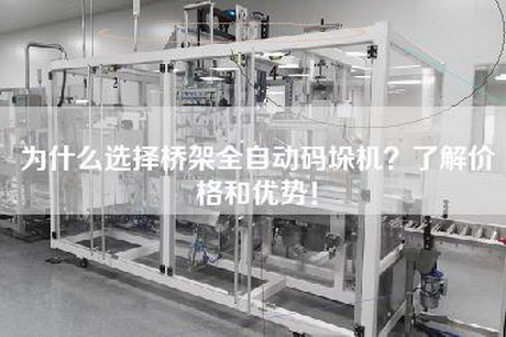 为什么选择桥架全自动码垛机？了解价格和优势！