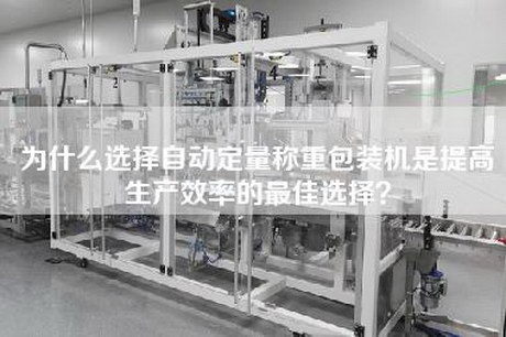 为什么选择自动定量称重包装机是提高生产效率的最佳选择？