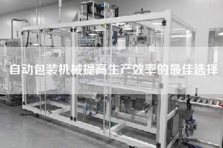 自动包装机械提高生产效率的最佳选择