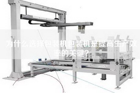 为什么选择包装机包装机是提高生产效率的关键？