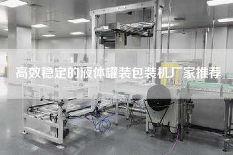 高效稳定的液体罐装包装机厂家推荐