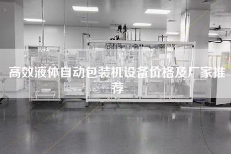 高效液体自动包装机设备价格及厂家推荐