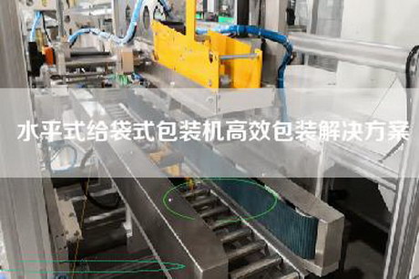 水平式给袋式包装机高效包装解决方案