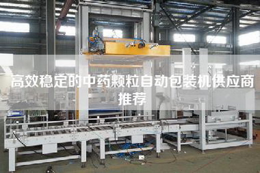 高效稳定的中药颗粒自动包装机供应商推荐