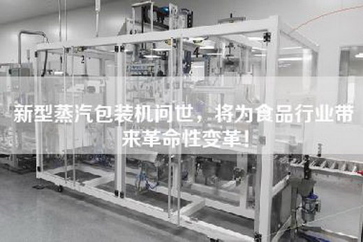新型蒸汽包装机问世，将为食品行业带来革命性变革！