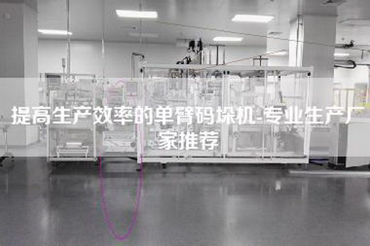提高生产效率的单臂码垛机-专业生产厂家推荐