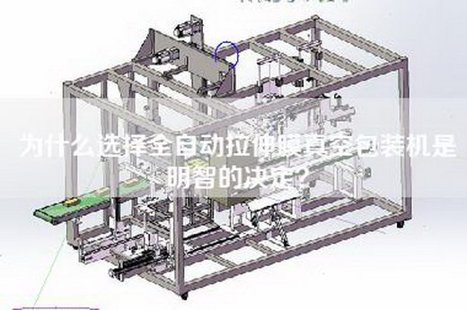 为什么选择全自动拉伸膜真空包装机是明智的决定？