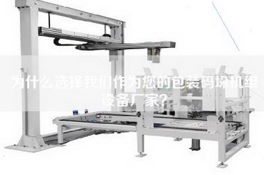 为什么选择我们作为您的包装码垛机组设备厂家？