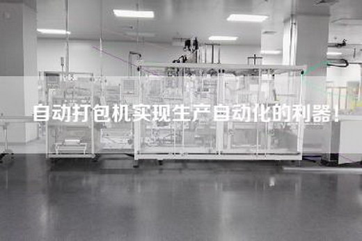 自动打包机实现生产自动化的利器！