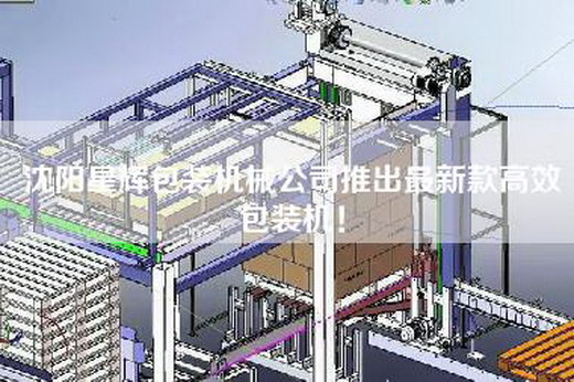 沈阳星辉包装机械公司推出最新款高效包装机！