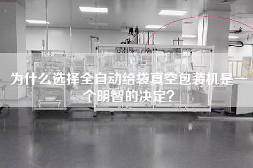 为什么选择全自动给袋真空包装机是一个明智的决定？