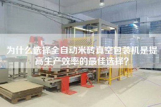 为什么选择全自动米砖真空包装机是提高生产效率的最佳选择？