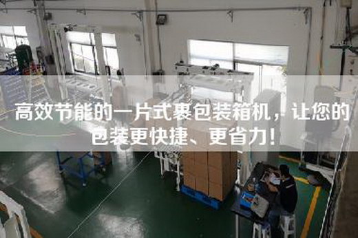 高效节能的一片式裹包装箱机，让您的包装更快捷、更省力！