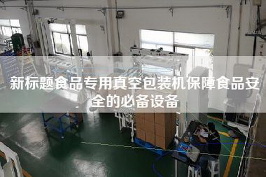 新标题食品专用真空包装机保障食品安全的必备设备