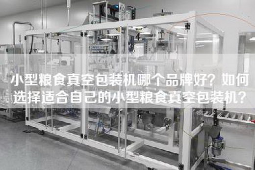 小型粮食真空包装机哪个品牌好？如何选择适合自己的小型粮食真空包装机？