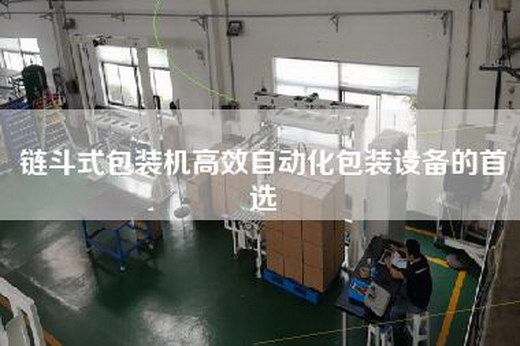 链斗式包装机高效自动化包装设备的首选